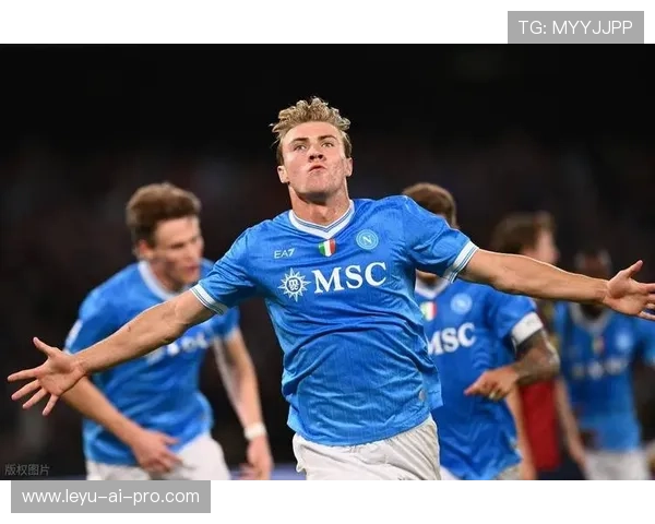 罗德里戈战术角色与体系适配性分析